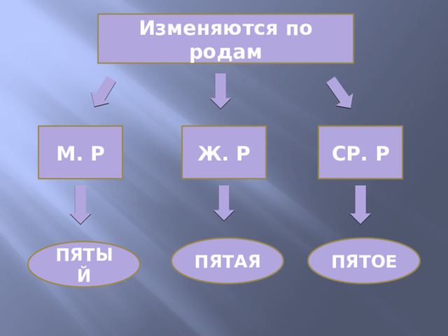 Изменяются по родам М. Р Ж. Р СР. Р ПЯТАЯ ПЯТОЕ ПЯТЫЙ 