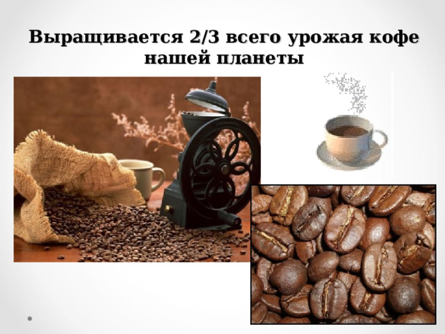 Выращивается 2/3 всего урожая кофе нашей планеты 