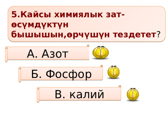 5.Кайсы химиялык зат-өсүмдүктүн бышышын,өрчүшүн тездетет ? А. Азот Б. Фосфор В. калий 
