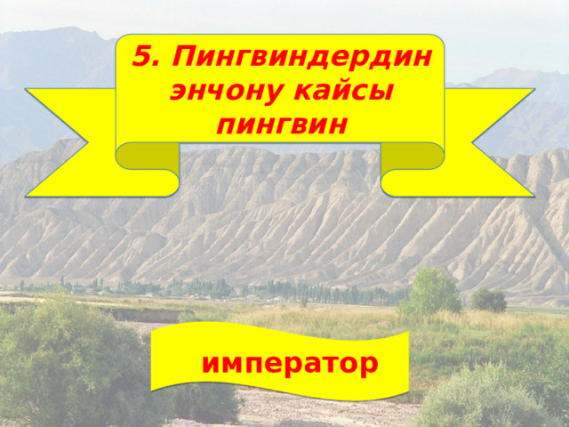 5. Пингвиндердин энчону кайсы пингвин  император 