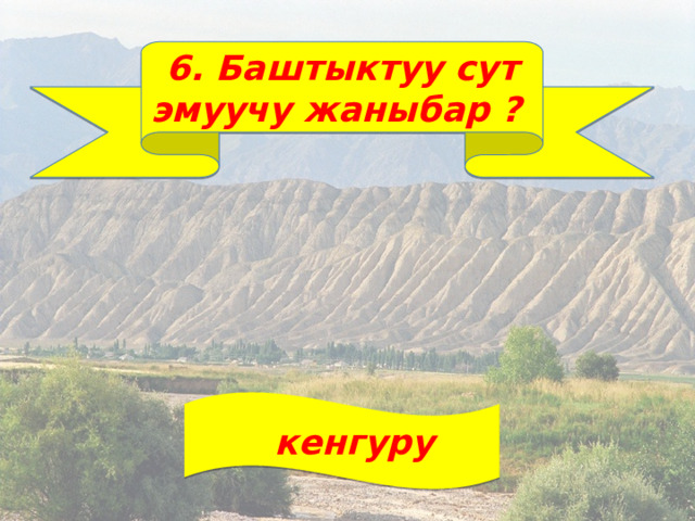 6. Баштыктуу сут эмуучу жаныбар ?  кенгуру 