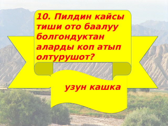 10. Пилдин кайсы тиши ото баалуу болгондуктан аларды коп атып олтурушот?  узун кашка  