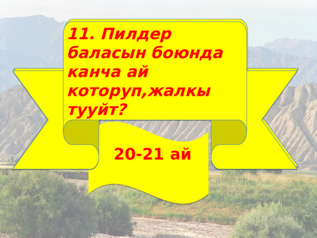 11. Пилдер баласын боюнда канча ай которуп,жалкы тууйт? 11. Пилдер баласын боюнда канча ай которуп,жалкы тууйт?  20-21 ай  