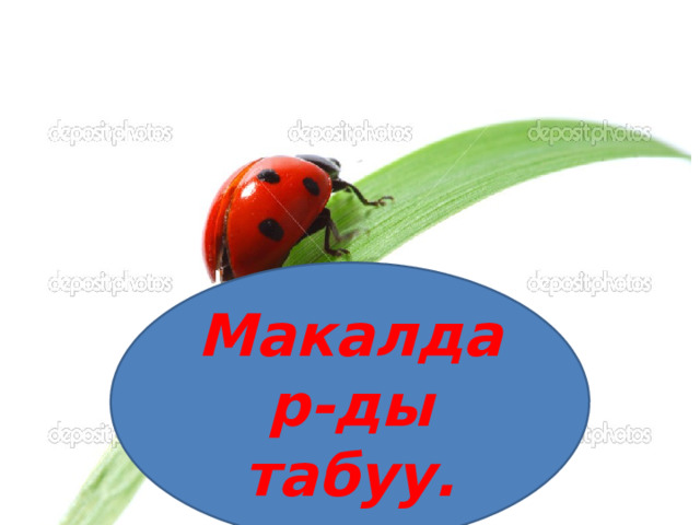 Макалдар-ды табуу. 