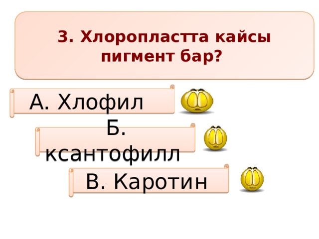 3. Хлоропластта кайсы пигмент бар? А. Хлофил Б. ксантофилл В. Каротин 