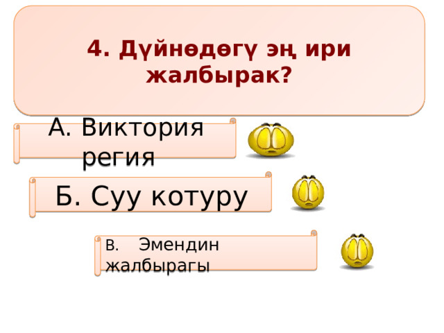 4. Дүйнөдөгү эң ири жалбырак? А. Виктория регия Б. Суу котуру В.  Эмендин жалбырагы 