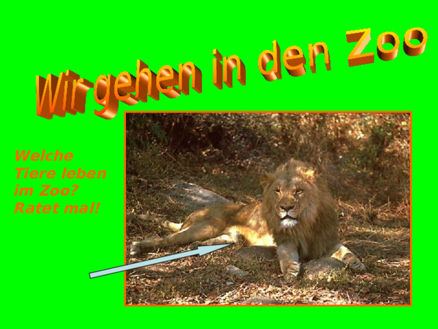 Welche Tiere leben im Zoo? Ratet mal!   