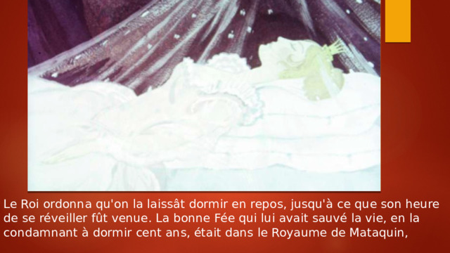 Le Roi ordonna qu'on la laissât dormir en repos, jusqu'à ce que son heure de se réveiller fût venue. La bonne Fée qui lui avait sauvé la vie, en la condamnant à dormir cent ans, était dans le Royaume de Mataquin, 