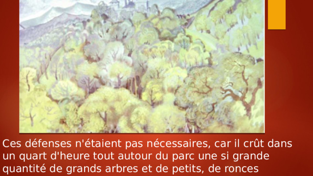 Ces défenses n'étaient pas nécessaires, car il crût dans un quart d'heure tout autour du parc une si grande quantité de grands arbres et de petits, de ronces 