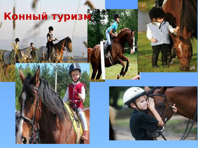 Конный туризм Конный туризм 