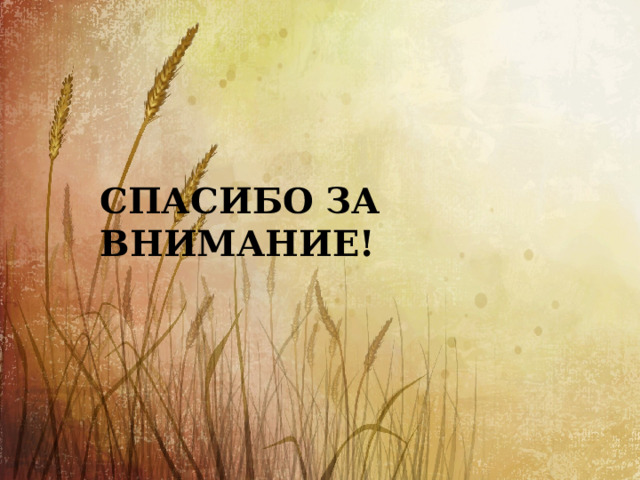 СПАСИБО ЗА ВНИМАНИЕ! 