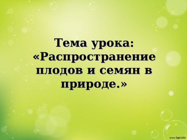 Тема урока: « Распространение плодов и семян в природе.»  