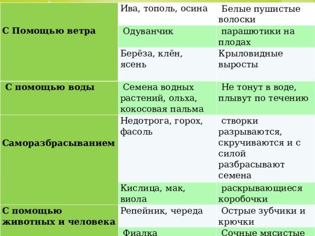     С Помощью ветра Ива, тополь, осина   Белые пушистые волоски   Одуванчик   парашютики на плодах Берёза, клён, ясень   С помощью воды     Саморазбрасыванием     Крыловидные выросты    Семена водных растений, ольха, кокосовая пальма Недотрога, горох, фасоль   Не тонут в воде, плывут по течению   створки разрываются, скручиваются и с силой разбрасывают семена Кислица, мак, виола С помощью животных и человека   раскрывающиеся коробочки Репейник, череда     Острые зубчики и крючки   Фиалка   Сочные мясистые придатки   Рябина, бузина, брусника, черника,черёмуха Сочный и вкусный околоплодник 
