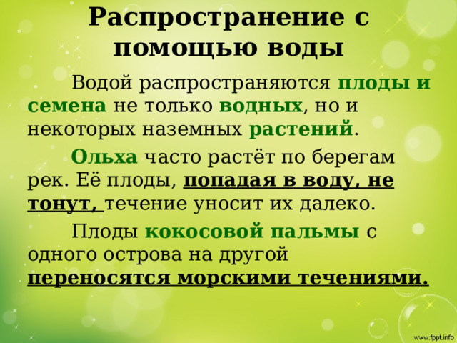 Распространение с помощью воды  Водой распространяются плоды и семена не только водных , но и некоторых наземных растений .   Ольха часто растёт по берегам рек. Её плоды, попадая в воду, не тонут, течение уносит их далеко.  Плоды кокосовой пальмы с одного острова на другой переносятся морскими течениями. 