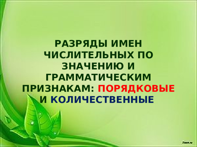 РАЗРЯДЫ ИМЕН ЧИСЛИТЕЛЬНЫХ ПО ЗНАЧЕНИЮ И ГРАММАТИЧЕСКИМ ПРИЗНАКАМ: ПОРЯДКОВЫЕ  И КОЛИЧЕСТВЕННЫЕ 