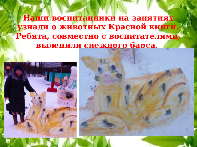. Наши воспитанники на занятиях узнали о животных Красной книги. Ребята, совместно с воспитателями, вылепили снежного барса.  