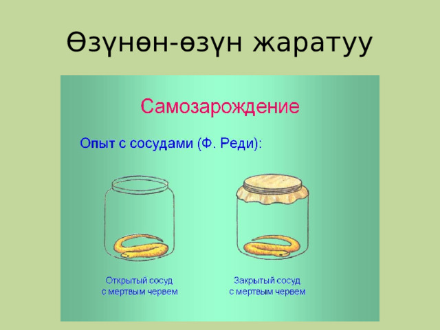 Өзүнөн-өзүн жаратуу 