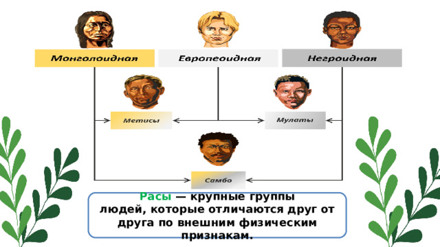 Расы  — крупные группы людей, которые отличаются друг от друга по внешним физическим признакам. 