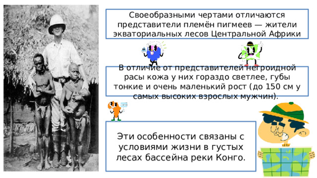 Своеобразными чертами отличаются представители племён пигмеев — жители экваториальных лесов Центральной Африки В отличие от представителей негроидной расы кожа у них гораздо светлее, губы тонкие и очень маленький рост (до 150 см у самых высоких взрослых мужчин). Эти особенности связаны с условиями жизни в густых лесах бассейна реки Конго. 