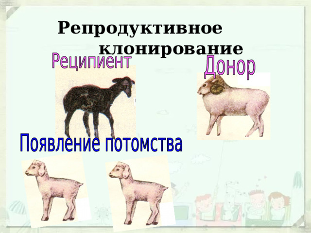   Репродуктивное клонирование 