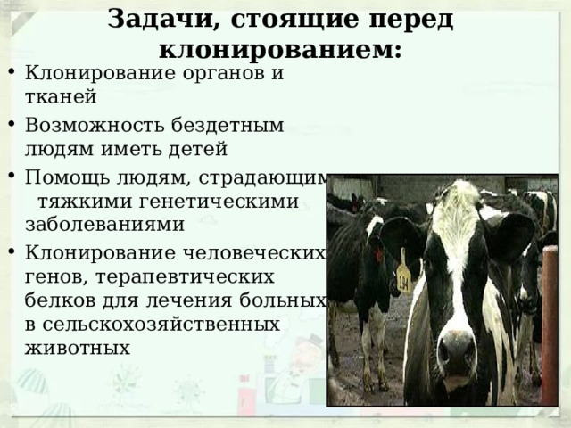 Задачи, стоящие перед клонированием: Клонирование органов и тканей Возможность бездетным людям иметь детей Помощь людям, страдающим тяжкими генетическими заболеваниями Клонирование человеческих генов, терапевтических белков для лечения больных в сельскохозяйственных животных 