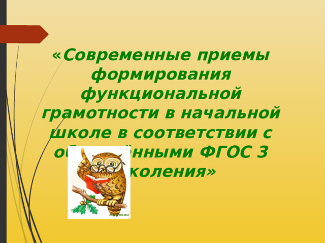 « Современные приемы формирования функциональной грамотности в начальной школе в соответствии с обновлёнными ФГОС 3 поколения» 