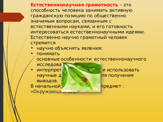 Естественнонаучная грамотность – это способность человека занимать активную гражданскую позицию по общественно значимым вопросам, связанным с естественными науками, и его готовность интересоваться естественнонаучными идеями. Естественно научно грамотный человек стремится научно объяснять явления; понимать основные особенности  естественнонаучного исследования; интерпретировать данные и использовать научные доказательства для получения выводов. В начальной школе учебный предмет : «Окружающий мир»  Финансовая грамотность. В курсе математики начальной школы происходит знакомство с денежными знаками, ценой и стоимостью товаров. 