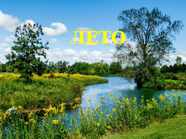 ЛЕТО 
