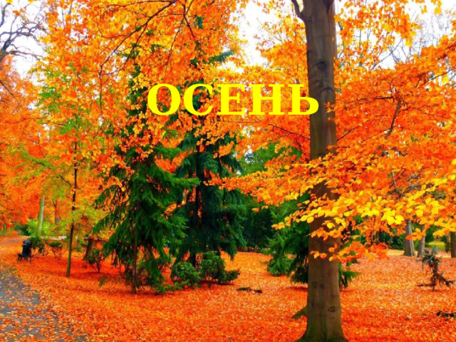 ОСЕНЬ 