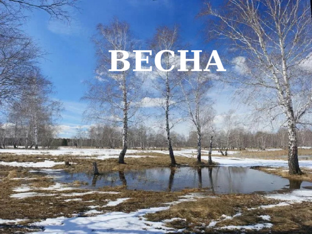 ВЕСНА 