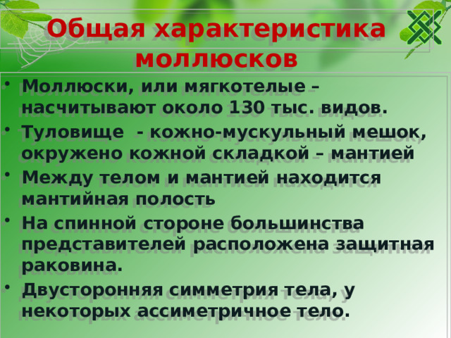 Общая характеристика моллюсков Моллюски, или мягкотелые – насчитывают около 130 тыс. видов. Туловище - кожно-мускульный мешок, окружено кожной складкой – мантией Между телом и мантией находится мантийная полость На спинной стороне большинства представителей расположена защитная раковина. Двусторонняя симметрия тела, у некоторых ассиметричное тело. 