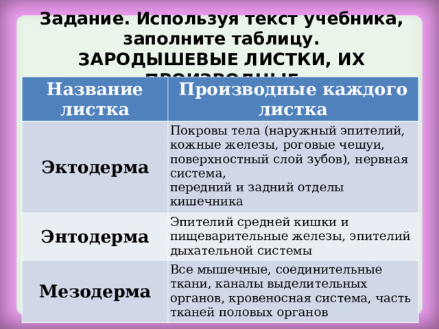 Задание. Используя текст учебника, заполните таблицу.  ЗАРОДЫШЕВЫЕ ЛИСТКИ, ИХ ПРОИЗВОДНЫЕ   Название листка Производные каждого листка Эктодерма Покровы тела (наружный эпителий, кожные железы, роговые чешуи, поверхностный слой зубов), нервная система,  передний и задний отделы кишечника Энтодерма Эпителий средней кишки и пищеварительные железы, эпителий дыхательной системы Мезодерма Все мышечные, соединительные ткани, каналы выделительных органов, кровеносная система, часть тканей половых органов 