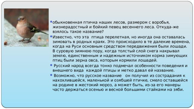 обыкновенная птичка наших лесов, размером с воробья, жизнерадостный и бойкий певец весеннего леса. Откуда-же взялось такое название? Известно, что эта птица перелетная, но иногда она оставалась зимовать в родных краях. Это происходило в те далекие времена, когда на Руси основным средством передвижения были лошади. В суровую зимнюю пору, когда толстый слой снега накрывал землю, единственным и надежным источником корма зимующих птиц были зерна овса, которым кормили лошадей.  Русский народ всегда тонко подмечал особенности поведения и внешнего вида  каждой птицы и метко давал ей название.  Возможно, что русское название   он получил из сострадания к нахохлившейся, маленькой и озябшей птичке, смело оставшейся на родине в жестокий мороз, а может быть, из-за его манеры часто держаться осенью и весной большими стайками на зяби. 