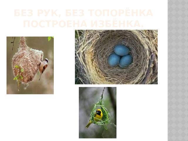 Без рук, без топорёнка  построена избёнка. 