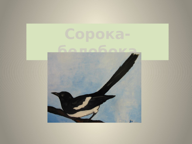 Сорока-белобока 