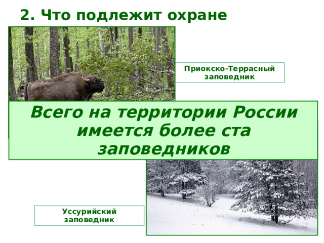 2. Что подлежит охране    Приокско-Террасный заповедник Всего на территории России имеется более ста заповедников Уссурийский заповедник 