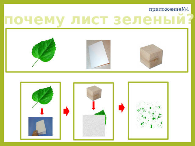 приложение№4 почему лист зеленый? 