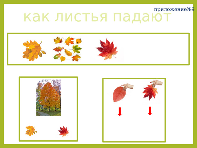 приложение№9 как листья падают 