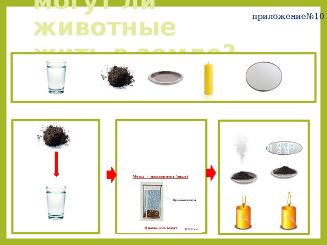 приложение№10 могут ли животные жить в земле? 