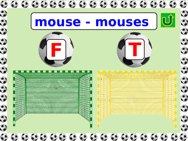 mouse - mouses T F 