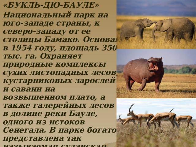  «БУКЛЬ-ДЮ-БАУЛЕ»  Национальный парк на юго-западе страны, к северо-западу от ее столицы Бамако. Основан в 1954 году, площадь 350 тыс. га. Охраняет природные комплексы сухих листопадных лесов, кустарниковых зарослей и саванн на возвышенном плато, а также галерейных лесов в долине реки Бауле, одного из истоков Сенегала. В парке богато представлена так называемая суданская фауна (животные переходной зоны от Сахары к экваториальным лесам): три вида газелей, слон, бегемот и другие. 