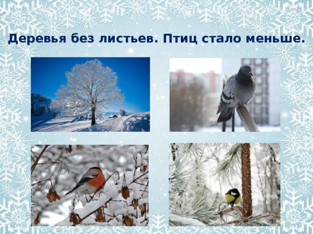Деревья без листьев. Птиц стало меньше. 