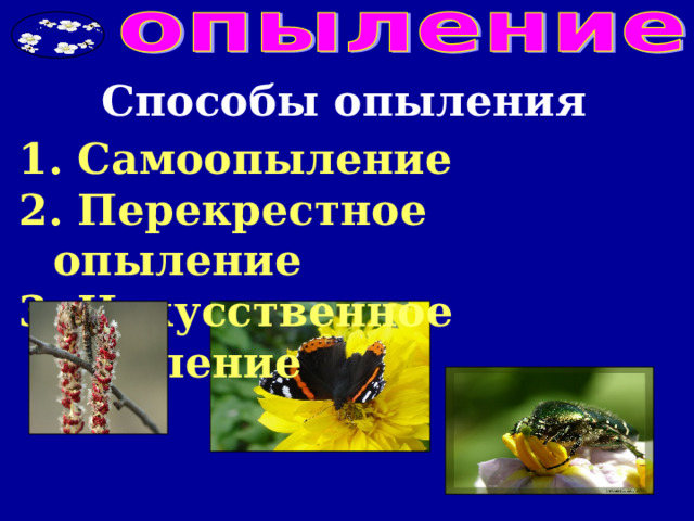 Способы опыления  Самоопыление  Перекрестное опыление 3. Искусственное опыление 