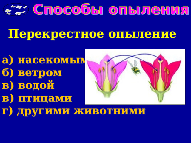 Перекрестное опыление  а) насекомыми б) ветром в) водой в) птицами г) другими животними 