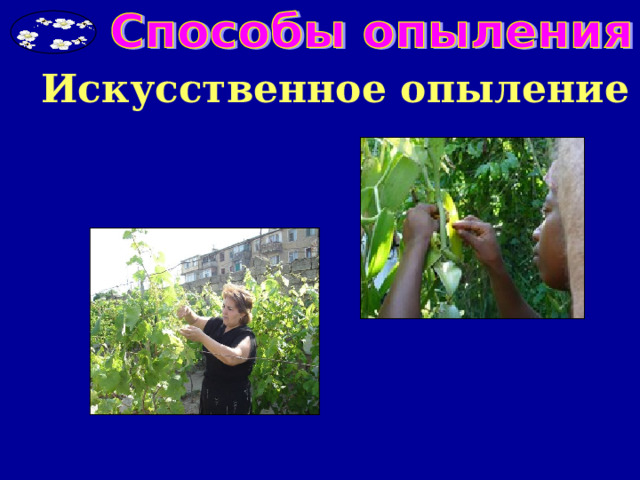 Искусственное опыление 