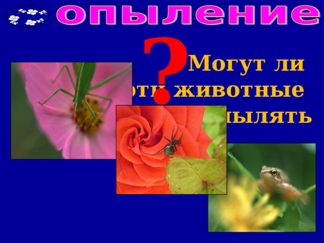 ? Могут ли эти животные опылять 