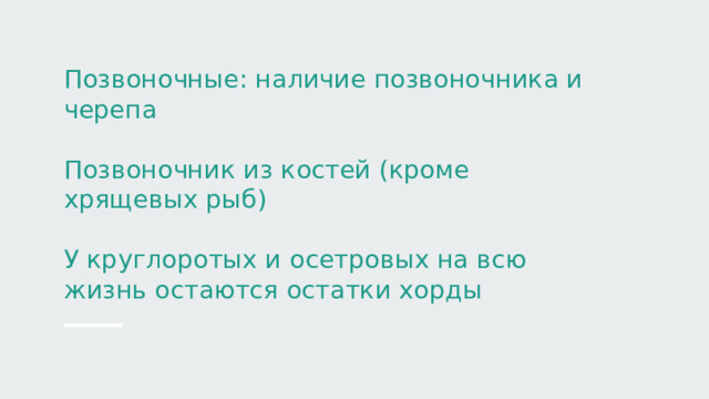 Позвоночные: наличие позвоночника и черепа   Позвоночник из костей (кроме хрящевых рыб)   У круглоротых и осетровых на всю жизнь остаются остатки хорды 