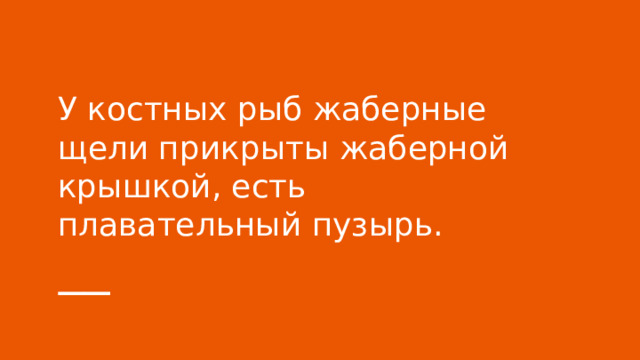 У костных рыб жаберные щели прикрыты жаберной крышкой, есть плавательный пузырь. 