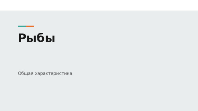 Рыбы Общая характеристика 