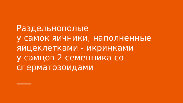 Раздельнополые  у самок яичники, наполненные яйцеклетками - икринками  у самцов 2 семенника со сперматозоидами 